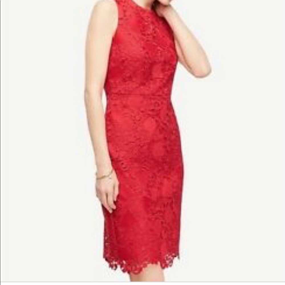 NEW Ann Taylor Lace Dress